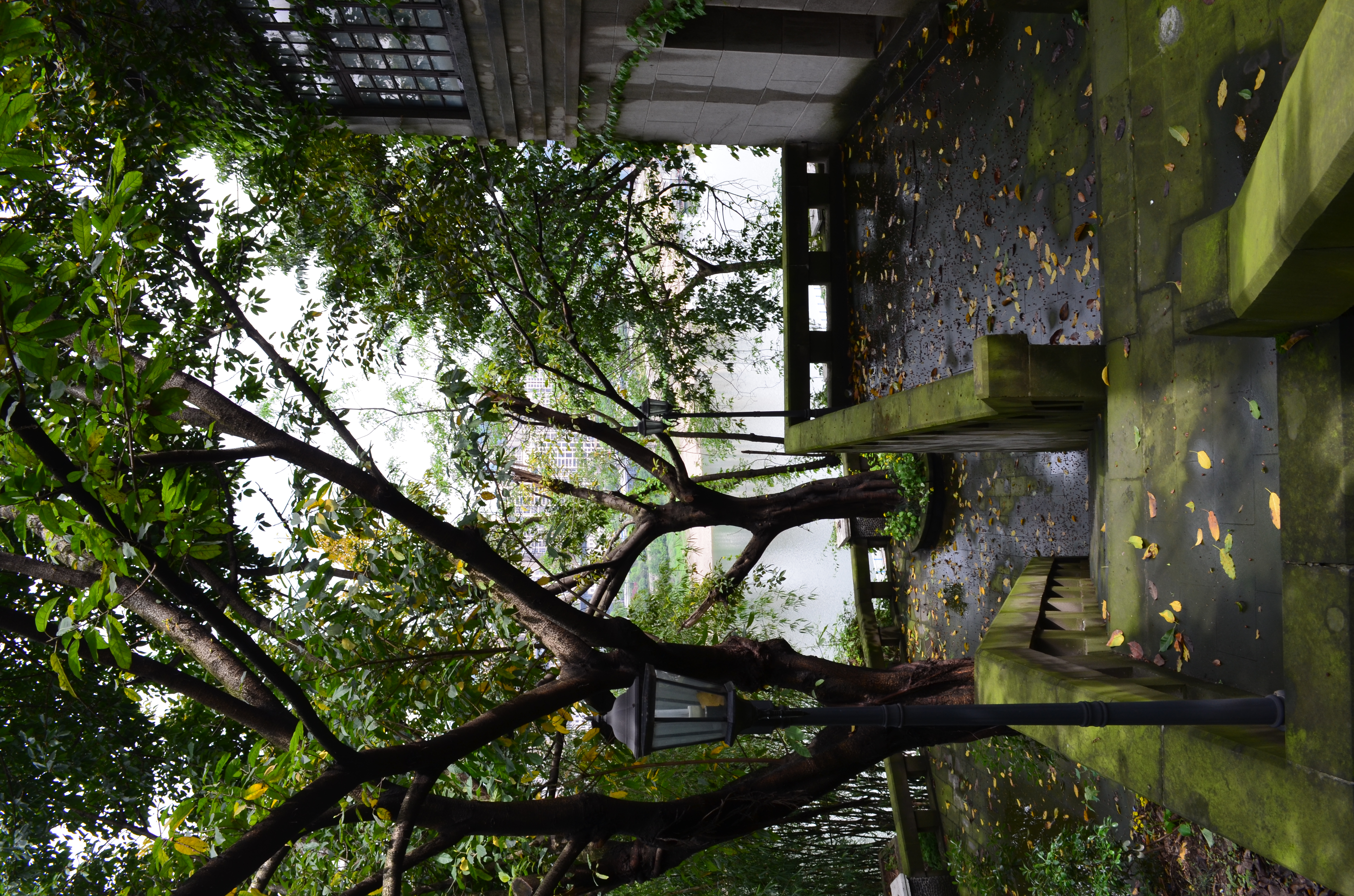 ./2018/03 - Viking China/15 - Chongqing/DSC_0778.JPG